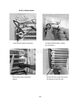 Page 148 Thumbnail