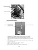 Page 224 Thumbnail