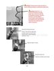 Page 274 Thumbnail