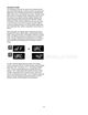 Page 42 Thumbnail